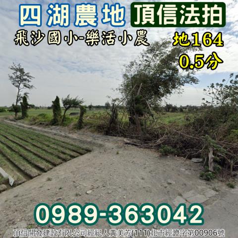 四湖農地法拍-3