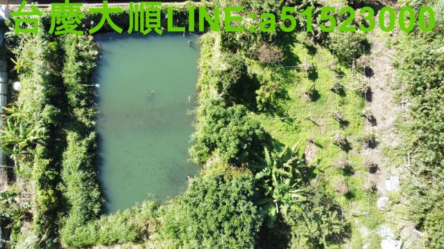 新竹農地-10