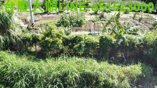 新竹農地-5