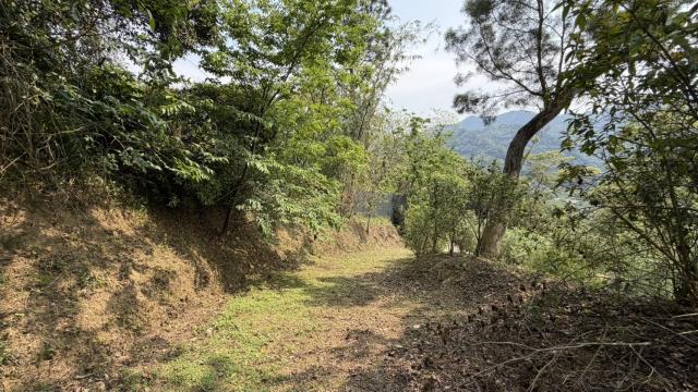 新竹北埔農地-14