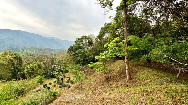 新竹北埔農地-13