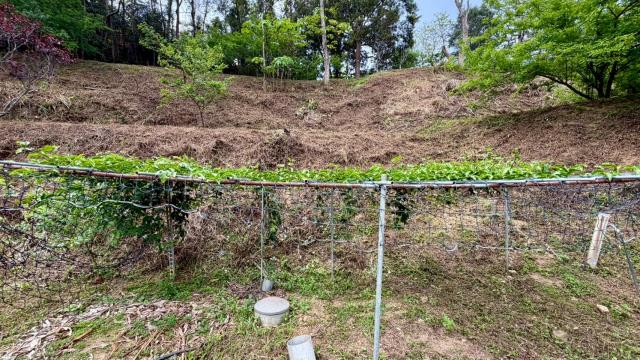 新竹北埔農地-1