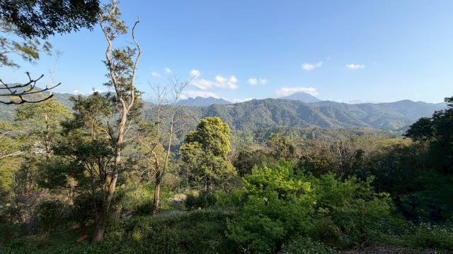 新竹北埔農地-15