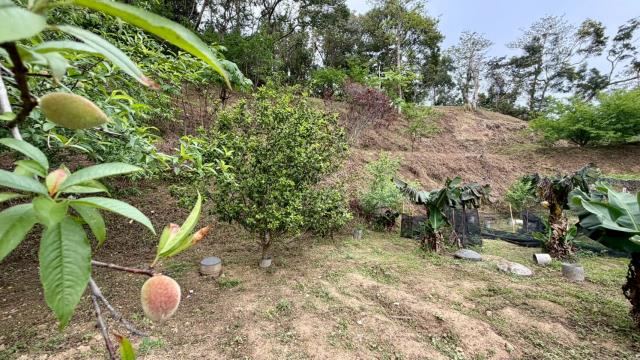 新竹北埔農地-6