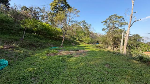 新竹北埔農地-5