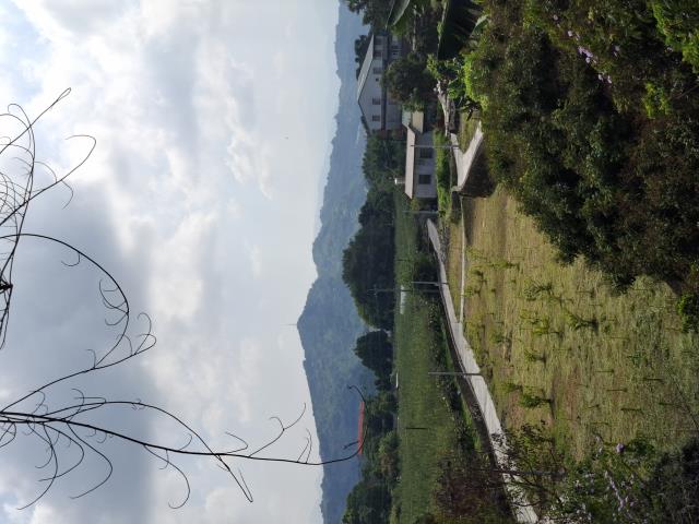 台中石岡農地-8