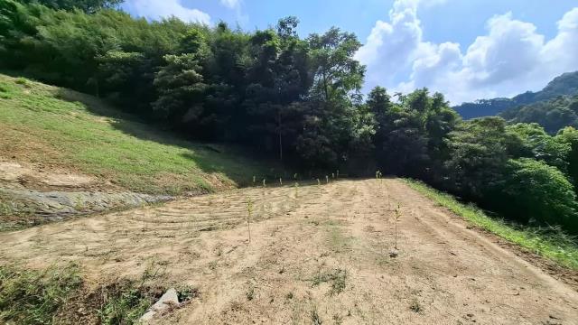 台中東勢農地-2