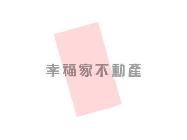 台南新化農地-15