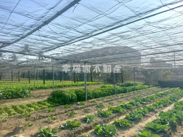 台南南區農地-5