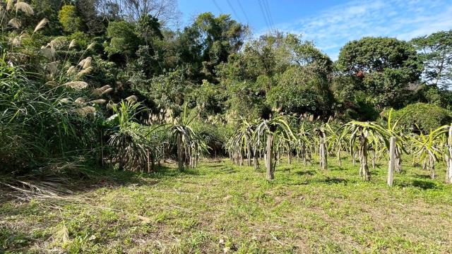 新竹峨眉農地-12