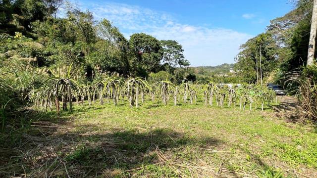 新竹峨眉農地-1