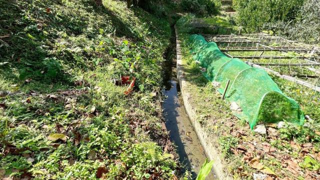 新竹峨眉農地-5