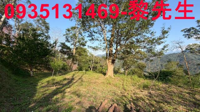 新竹北埔農地-5