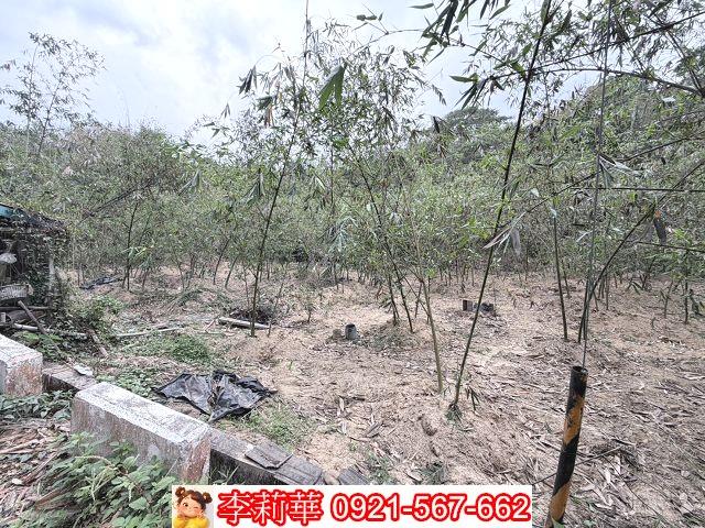 台南新化農地-8