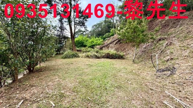 新竹北埔農地-11