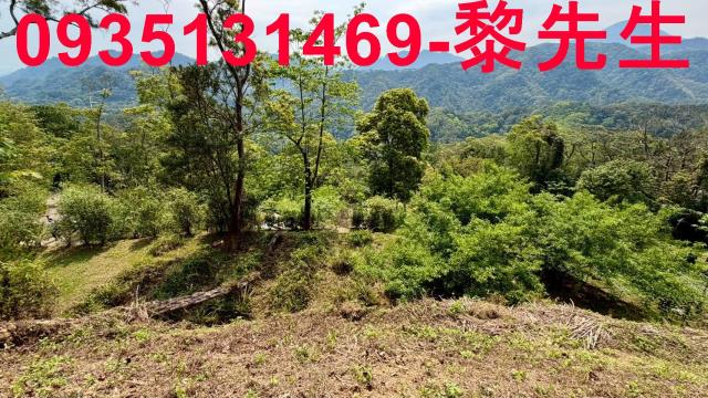 新竹北埔農地-6