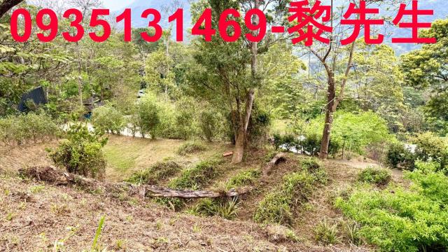 新竹北埔農地-10