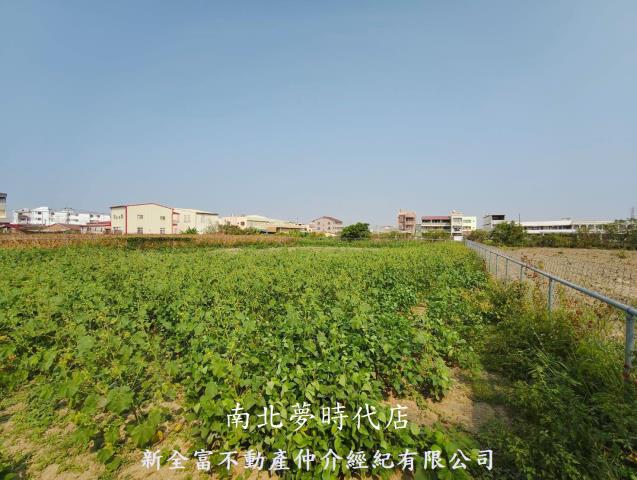 新營農地-3