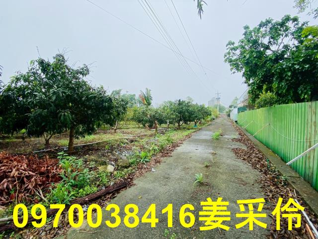 嘉義中埔農地-3