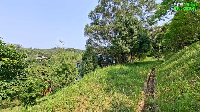 新竹峨眉農地-10