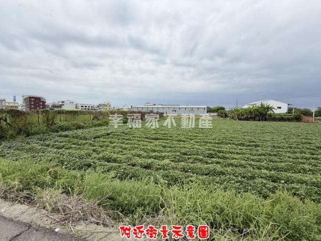新化農地-12