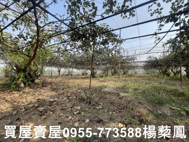 高雄燕巢農地-9