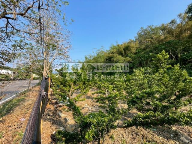 嘉義竹崎農地-1