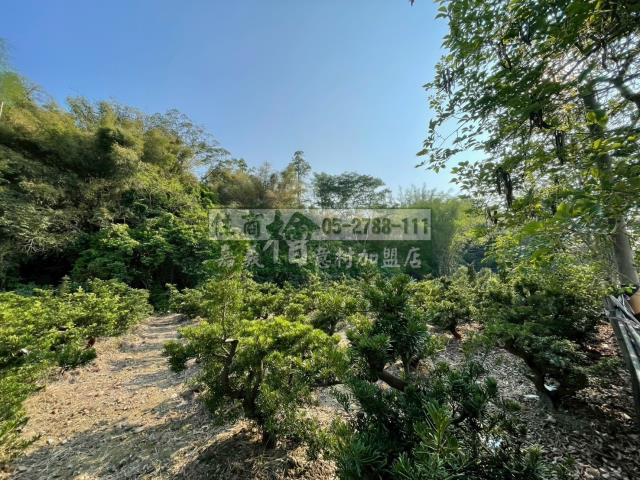 嘉義竹崎農地-7