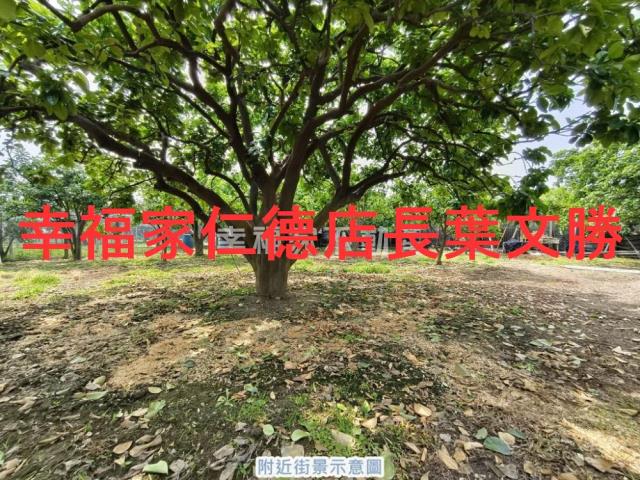 台南麻豆農地-4