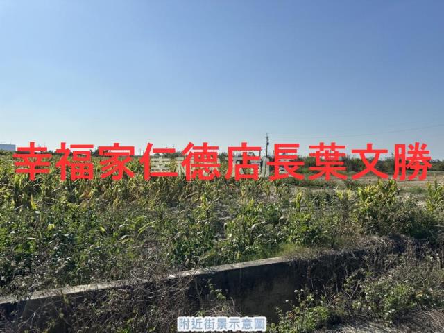 台南新市農地-2