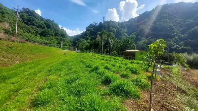 台中東勢農地-5