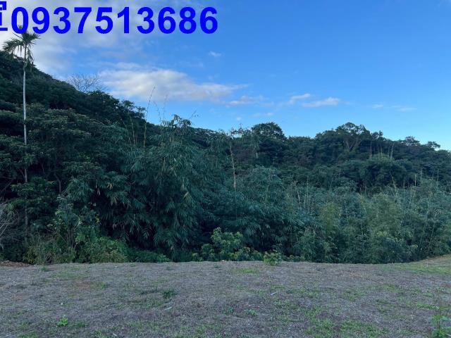 宜蘭三星山坡地-8