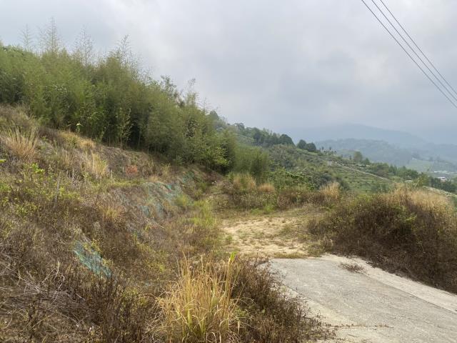 台中東勢農地-3