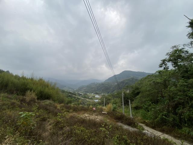 台中東勢農地-6