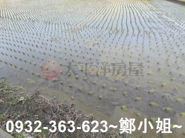 桃園桃園區農地-2