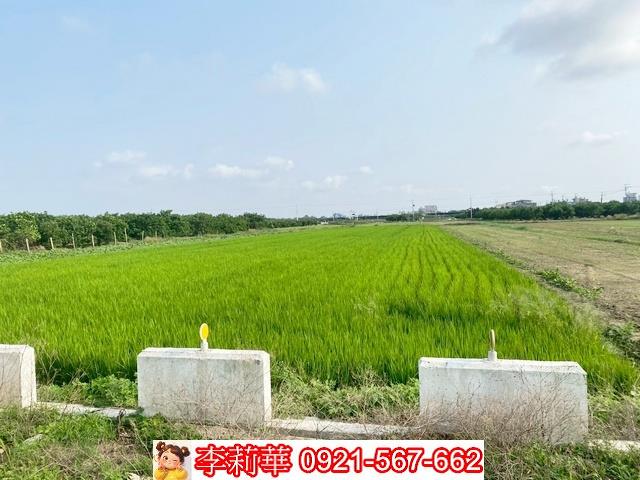 台南佳里農地-4