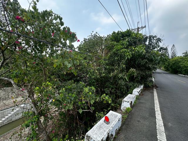 台南左鎮農地-3