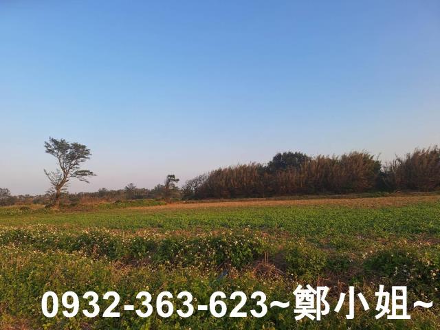 桃園觀音農地-11