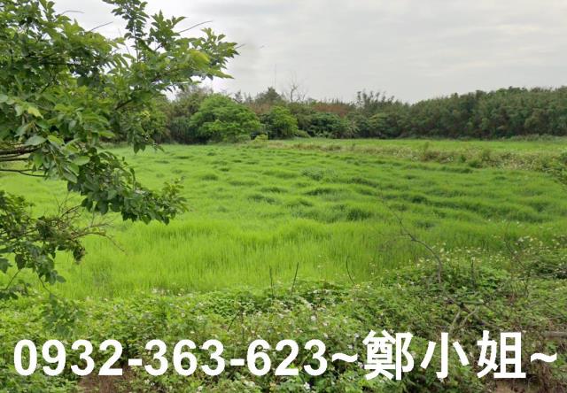 桃園觀音農地-13