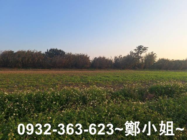 桃園觀音農地-5