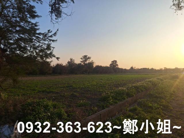 桃園觀音農地-7