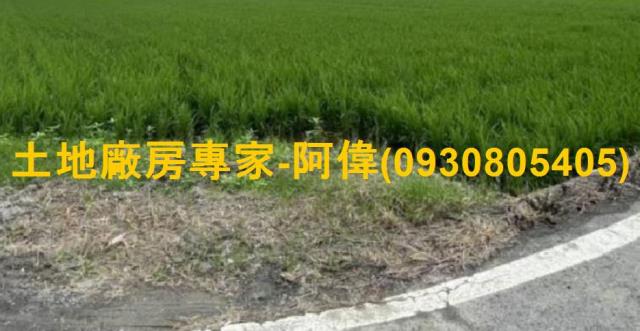高雄大寮農地-1