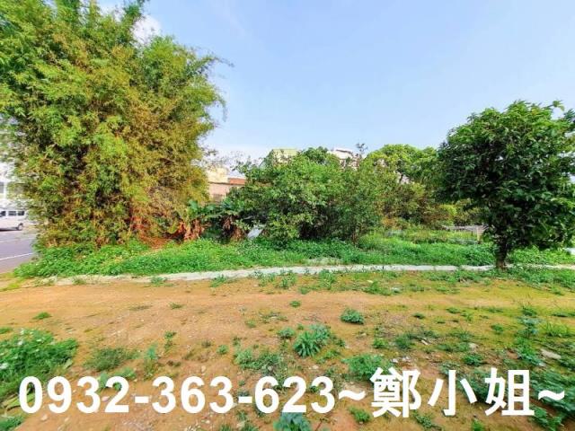 桃園平鎮農地-12