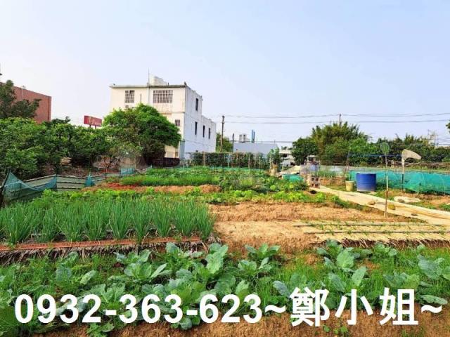 桃園平鎮農地-7