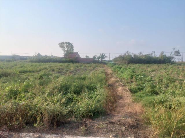 新營建地-3