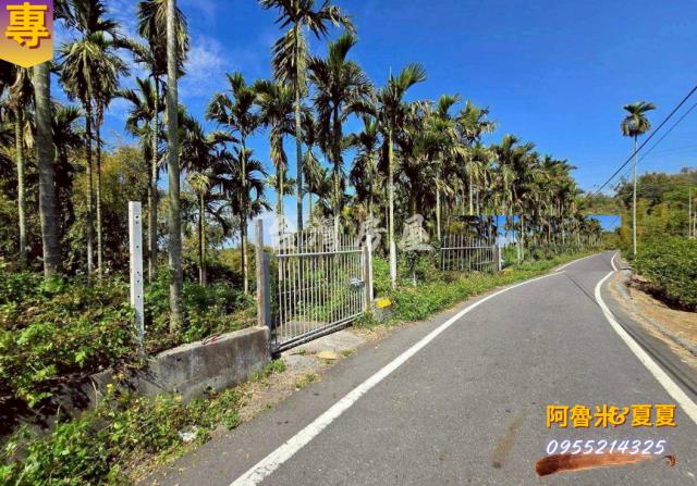 嘉義梅山農地-4