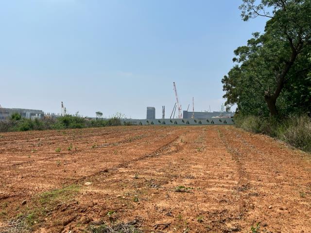 台中大雅農地-1