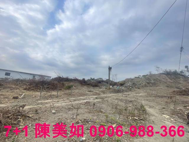 高雄仁武農地-1