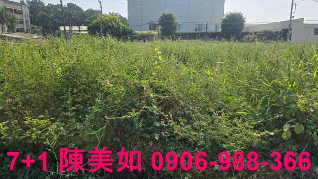 高雄仁武建地-1