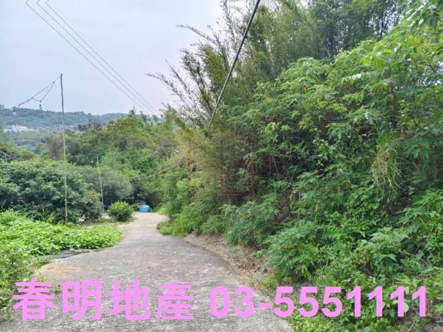 東區風景地-7
